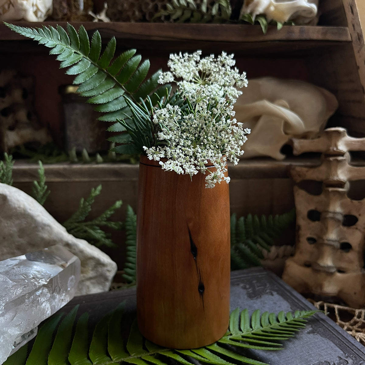 Reclaimed Cherry Tumbler – Spooky Old Witch