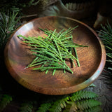 Black Walnut Offering Plate