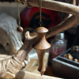 Cork Oak Pendulum